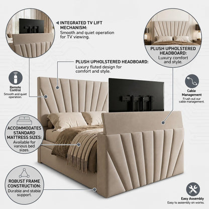 Mullet Sunshine TV Bed Frame