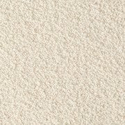 Cream Teddy